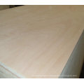 Birch Plywood for Russia Market